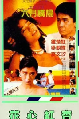亚洲国产片高清在线观看